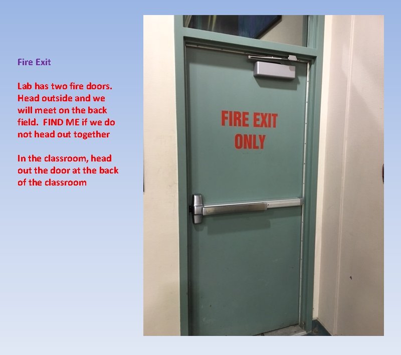 Fire Exit Lab has two fire doors. Head outside and we will meet on
