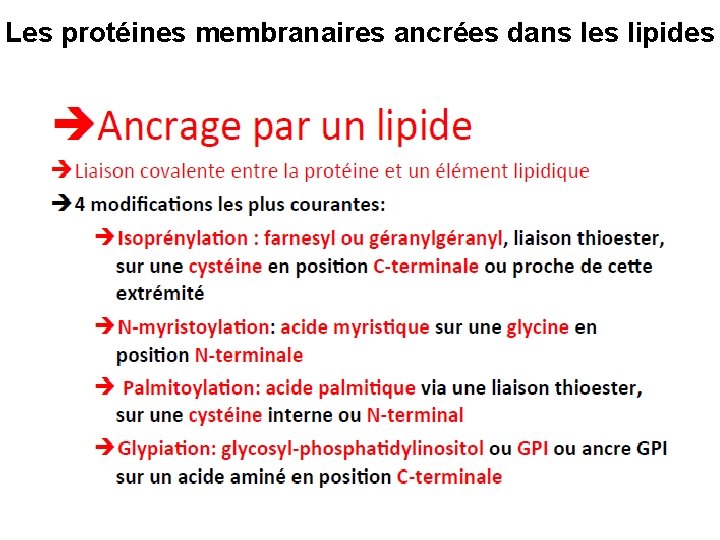 Les protéines membranaires ancrées dans les lipides 