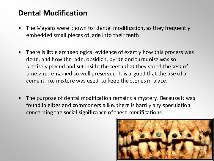 Dental Modification • The Mayans were known for dental modification, as they frequently embedded