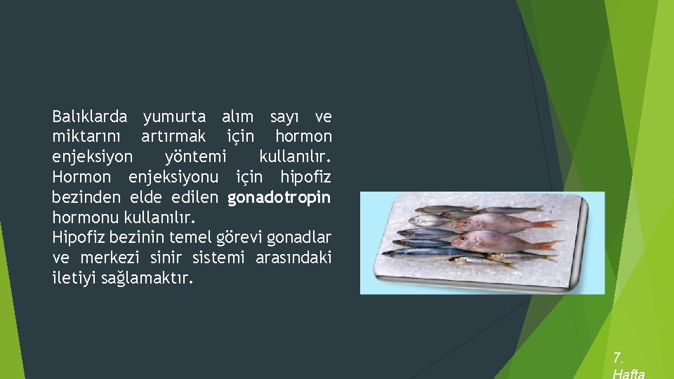 Balıklarda yumurta alım sayı ve miktarını artırmak için hormon enjeksiyon yöntemi kullanılır. Hormon enjeksiyonu