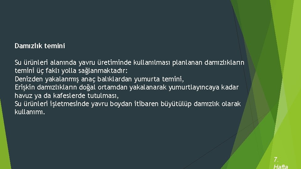 Damızlık temini Su ürünleri alanında yavru üretiminde kullanılması planlanan damızlıkların temini üç faklı yolla