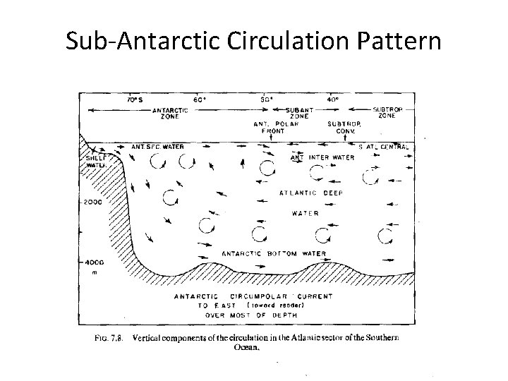 Sub-Antarctic Circulation Pattern 