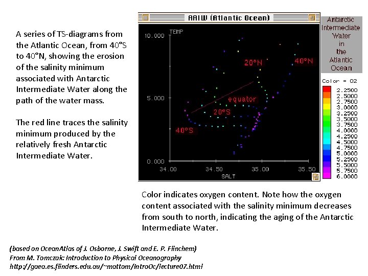 A series of TS-diagrams from the Atlantic Ocean, from 40°S to 40°N, showing the