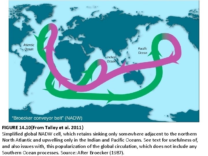 FIGURE 14. 10(From Talley et al. 2011) Simplified global NADW cell, which retains sinking