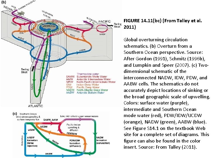 FIGURE 14. 11(bc) (From Talley et al. 2011) Global overturning circulation schematics. (b) Overturn