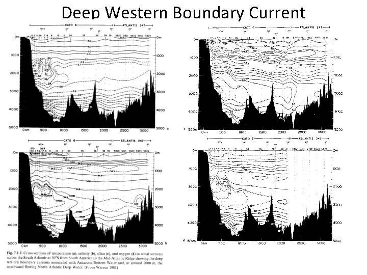 Deep Western Boundary Current 