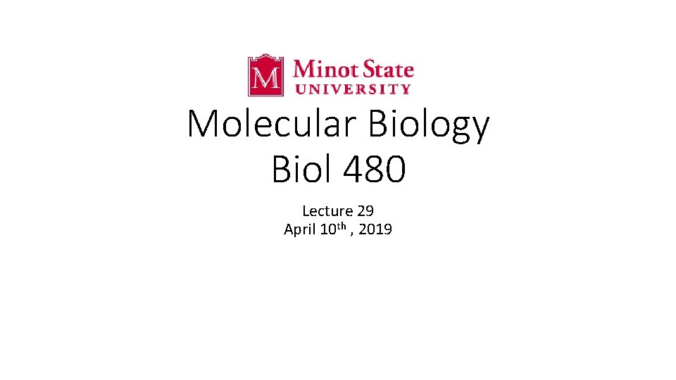 Molecular Biology Biol 480 Lecture 29 April 10 th , 2019 