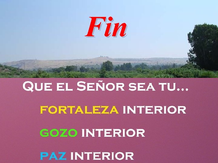 Fin 