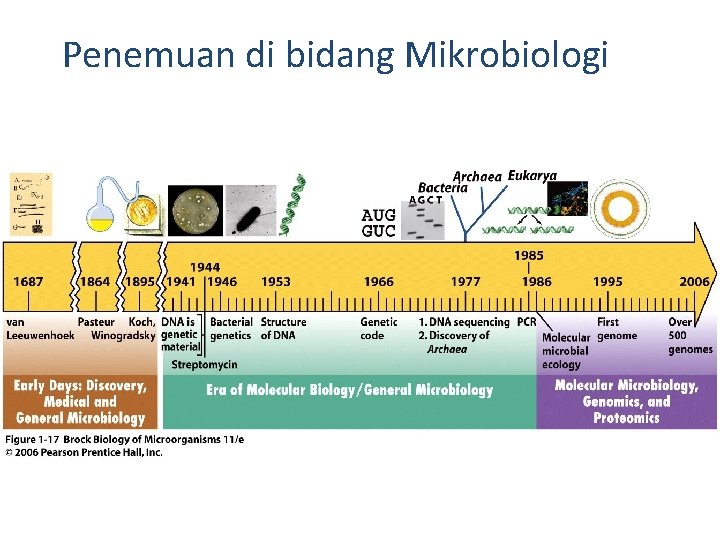 Penemuan di bidang Mikrobiologi 