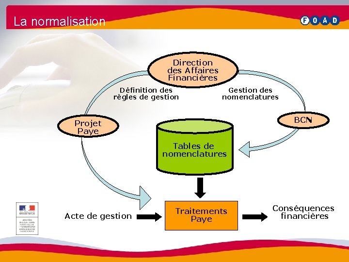 La normalisation Direction des Affaires Financières Définition des règles de gestion Gestion des nomenclatures