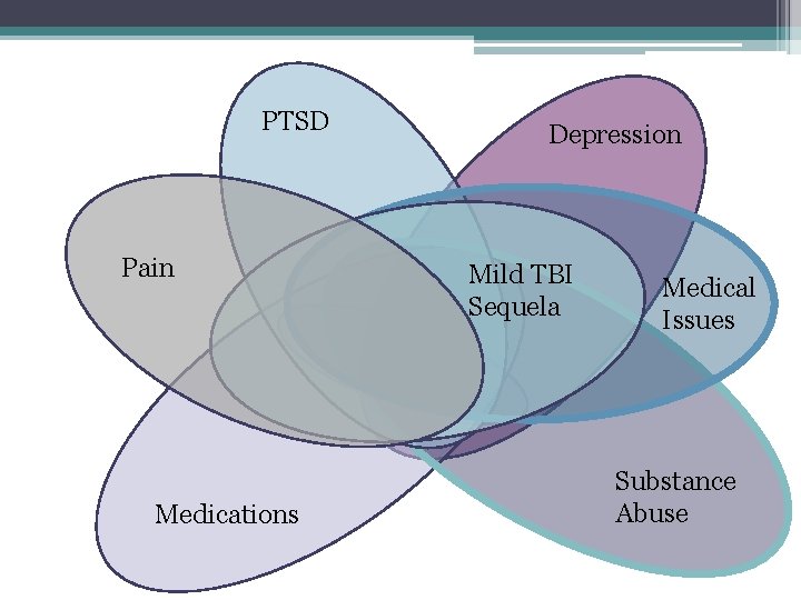 PTSD Pain Medications Depression Mild TBI Sequela Medical Issues Substance Abuse 