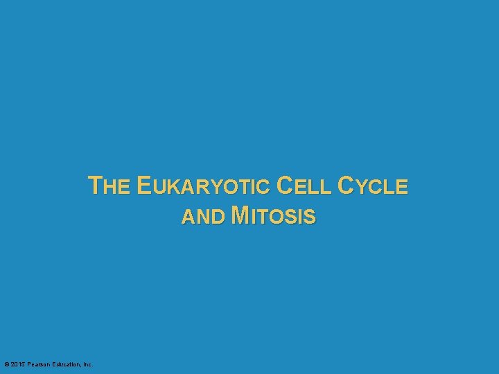 THE EUKARYOTIC CELL CYCLE AND MITOSIS © 2015 Pearson Education, Inc. 