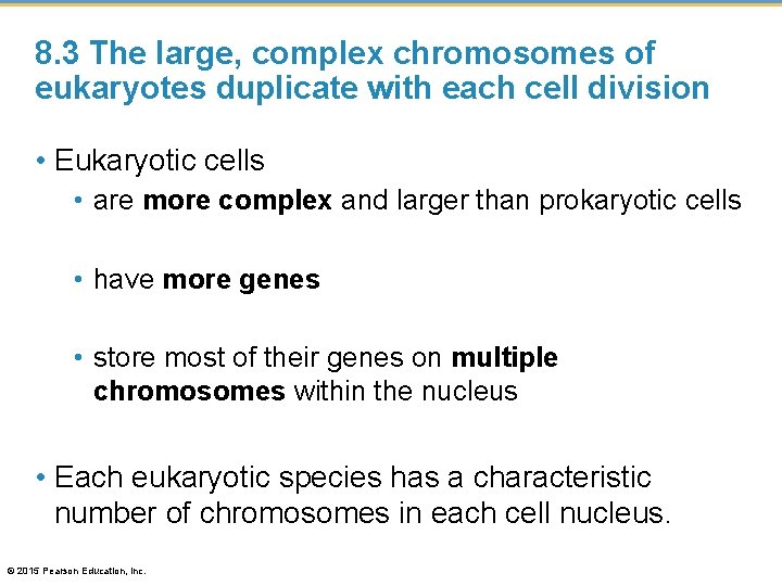 8. 3 The large, complex chromosomes of eukaryotes duplicate with each cell division •