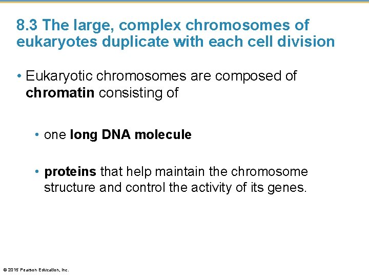 8. 3 The large, complex chromosomes of eukaryotes duplicate with each cell division •