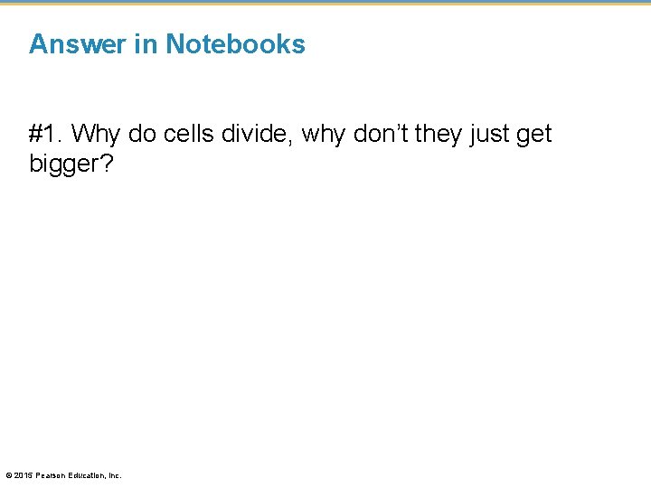 Answer in Notebooks #1. Why do cells divide, why don’t they just get bigger?