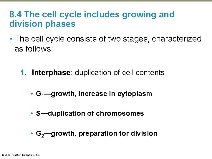 8. 4 The cell cycle includes growing and division phases • The cell cycle