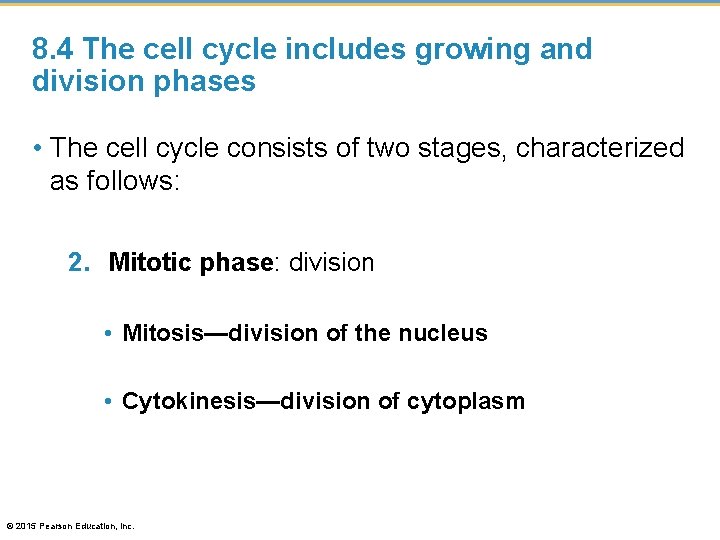 8. 4 The cell cycle includes growing and division phases • The cell cycle