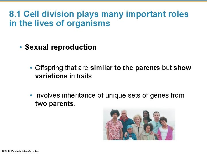 8. 1 Cell division plays many important roles in the lives of organisms •