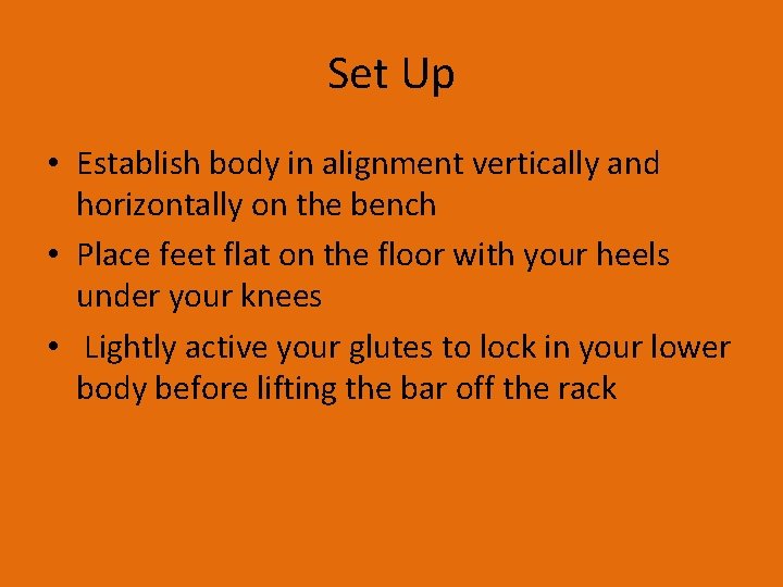 Set Up • Establish body in alignment vertically and horizontally on the bench •