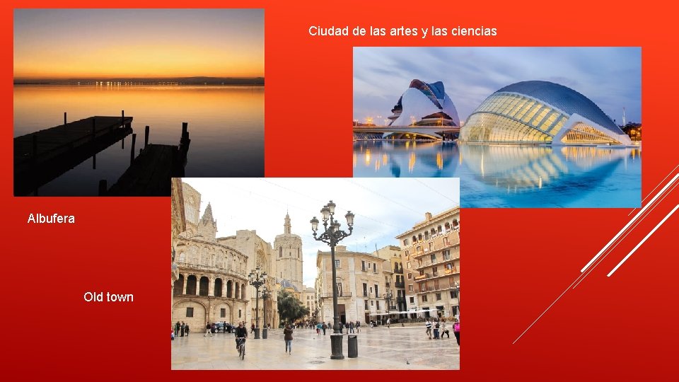 Ciudad de las artes y las ciencias Albufera Old town 