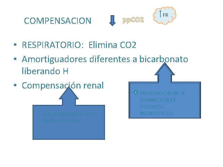 COMPENSACION pp. CO 2 FR • RESPIRATORIO: Elimina CO 2 • Amortiguadores diferentes a