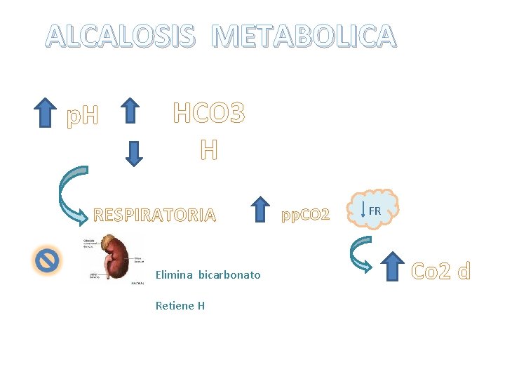 ALCALOSIS METABOLICA p. H HCO 3 H RESPIRATORIA Elimina bicarbonato Retiene H pp. CO