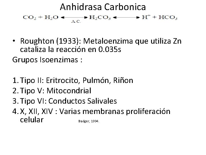 Anhidrasa Carbonica Lyasa o Deshidratasa • Roughton (1933): Metaloenzima que utiliza Zn cataliza la
