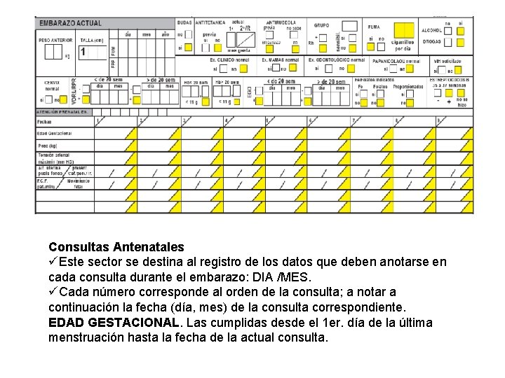 Consultas Antenatales üEste sector se destina al registro de los datos que deben anotarse