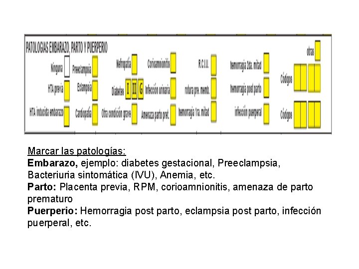 Marcar las patologías: Embarazo, ejemplo: diabetes gestacional, Preeclampsia, Bacteriuria sintomática (IVU), Anemia, etc. Parto: