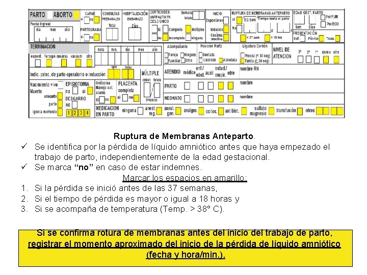 ü ü 1. 2. 3. Ruptura de Membranas Anteparto. Se identifica por la pérdida