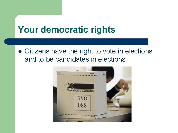 Your democratic rights l Citizens have the right to vote in elections and to