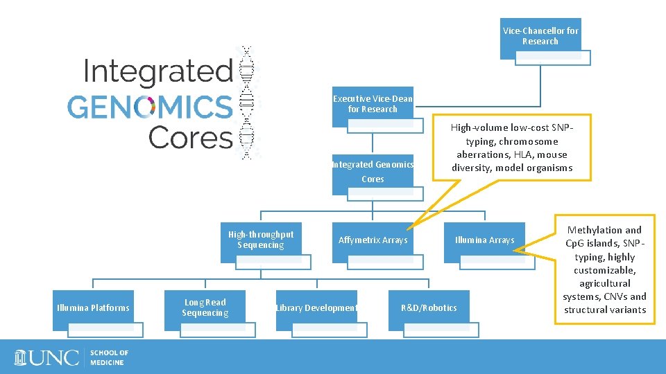 Vice-Chancellor for Research Executive Vice-Dean for Research Integrated Genomics Cores High-throughput Sequencing Illumina Platforms