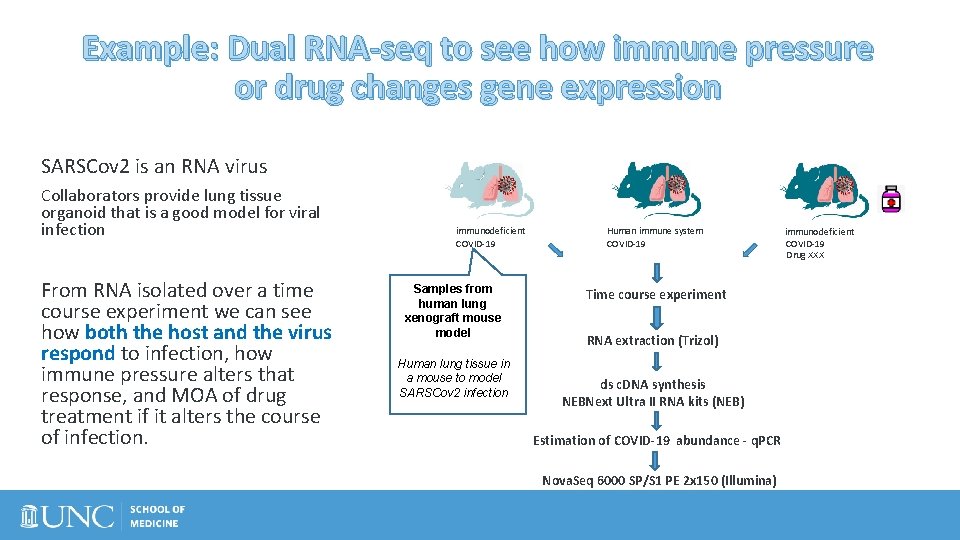 Example: Dual RNA-seq to see how immune pressure or drug changes gene expression SARSCov