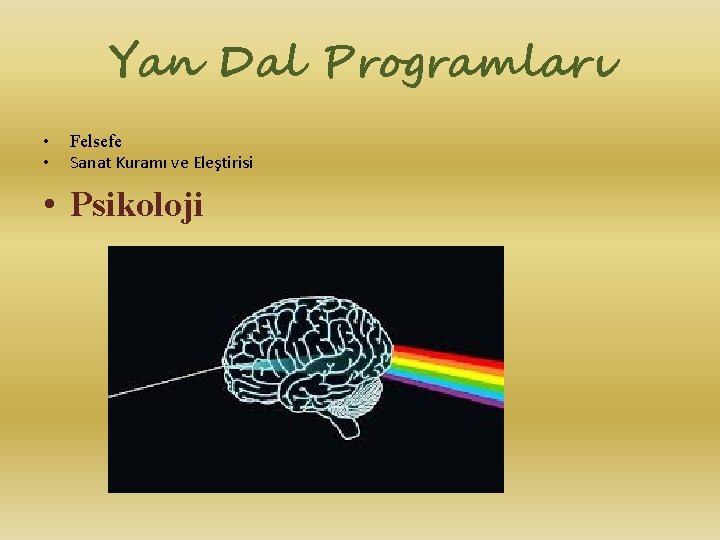 Yan Dal Programları • • Felsefe Sanat Kuramı ve Eleştirisi • Psikoloji 