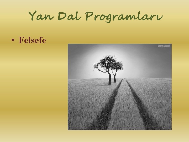 Yan Dal Programları • Felsefe 