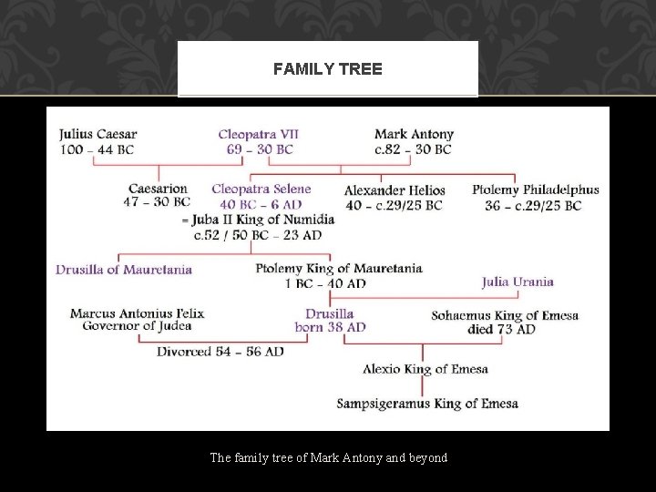FAMILY TREE The family tree of Mark Antony and beyond 