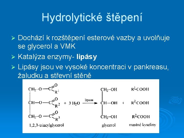 Hydrolytické štěpení Dochází k rozštěpení esterové vazby a uvolňuje se glycerol a VMK Ø