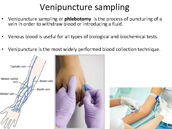 Blood collection techniques lab 2 what is blood