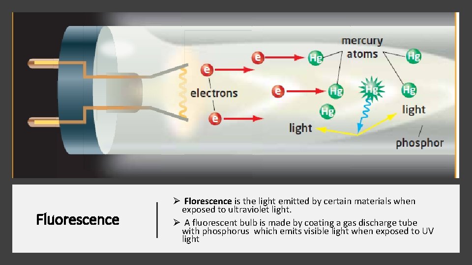 Fluorescence Ø Florescence is the light emitted by certain materials when exposed to ultraviolet