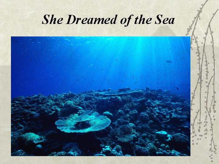 She Dreamed of the Sea 