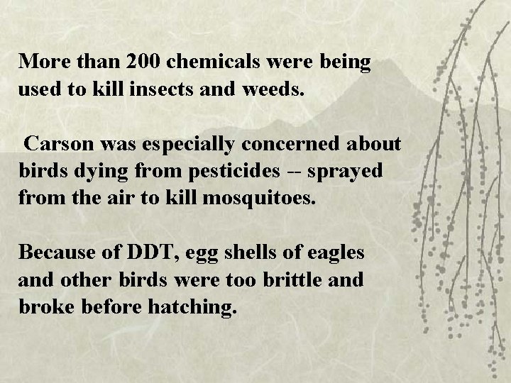 More than 200 chemicals were being used to kill insects and weeds. Carson was