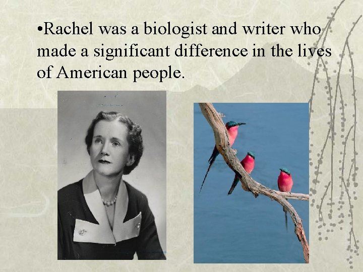 • Rachel was a biologist and writer who made a significant difference in