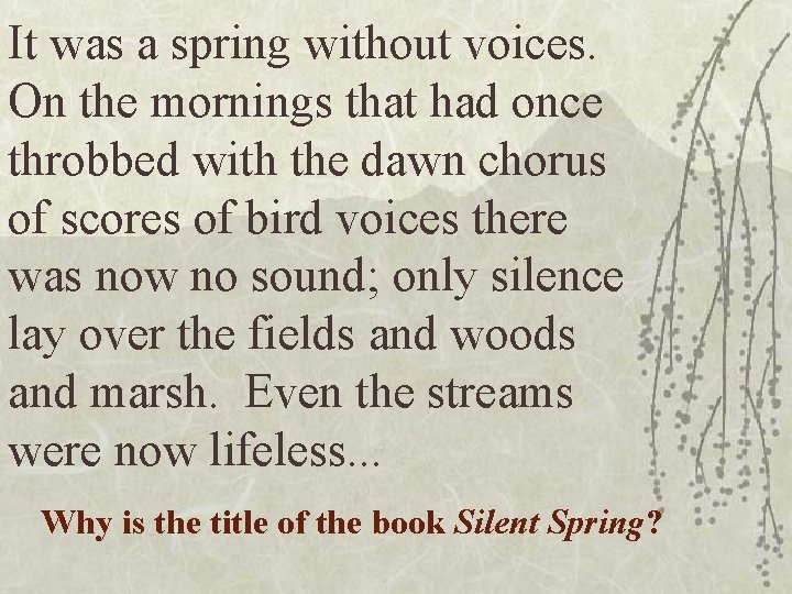 It was a spring without voices. On the mornings that had once throbbed with