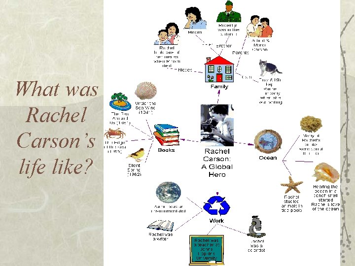 What was Rachel Carson’s life like? 