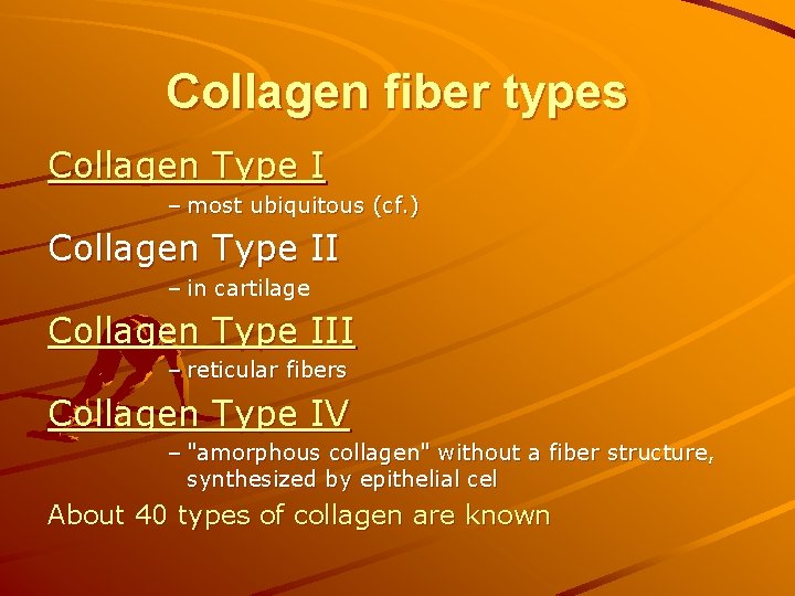 Collagen fiber types Collagen Type I – most ubiquitous (cf. ) Collagen Type II