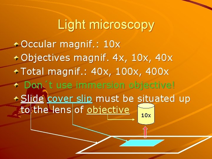 Light microscopy Occular magnif. : 10 x Objectives magnif. 4 x, 10 x, 40