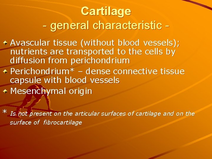 Cartilage - general characteristic Avascular tissue (without blood vessels); nutrients are transported to the