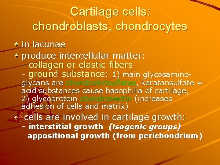 Cartilage cells: chondroblasts, chondrocytes in lacunae produce intercellular matter: - collagen or elastic fibers