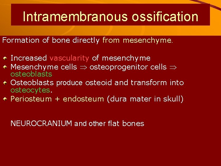 Intramembranous ossification Formation of bone directly from mesenchyme. Increased vascularity of mesenchyme Mesenchyme cells