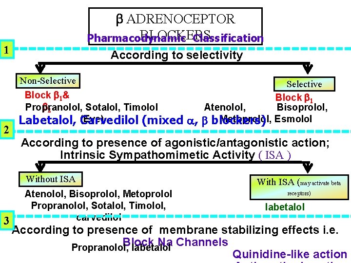  ADRENOCEPTOR BLOCKERS Pharmacodynamic Classification 1 2 According to selectivity Non-Selective Block 1& 2